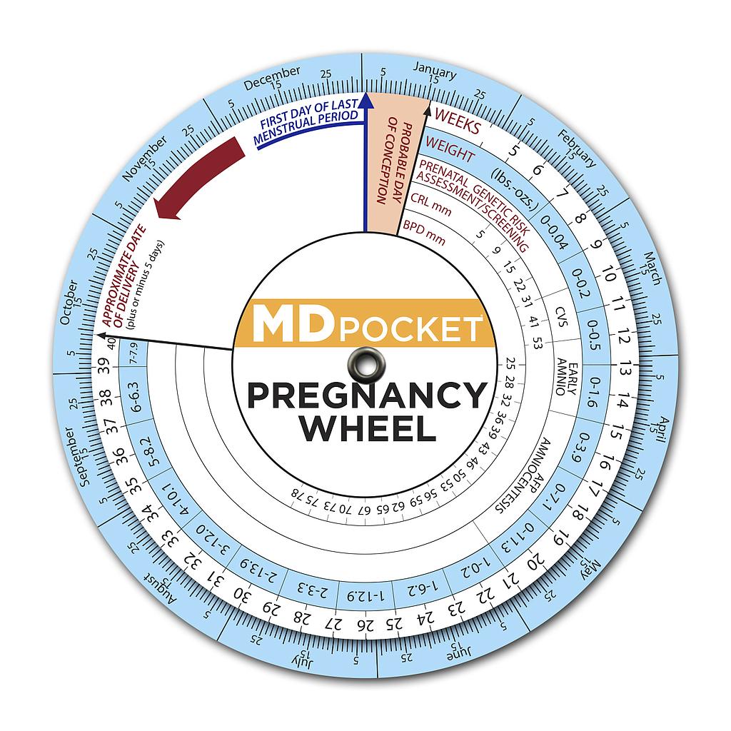 Pregnancy Wheel